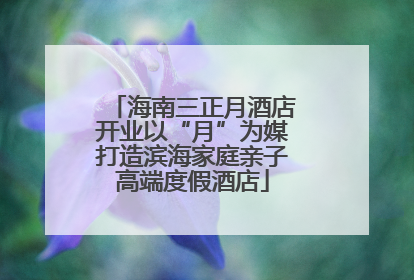 海南三正月酒店开业以“月”为媒打造滨海家庭亲子高端度假酒店