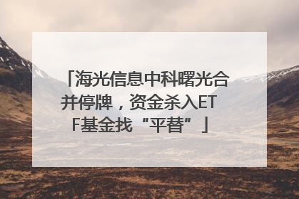 海光信息中科曙光合并停牌，资金杀入ETF基金找“平替”