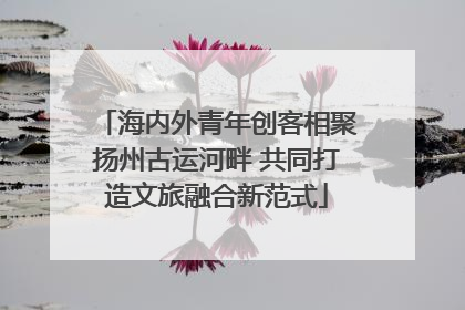海内外青年创客相聚扬州古运河畔 共同打造文旅融合新范式