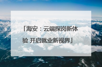 海安:云端探岗新体验 开启就业新视界