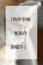 海外多地：赛龙舟 迎端午