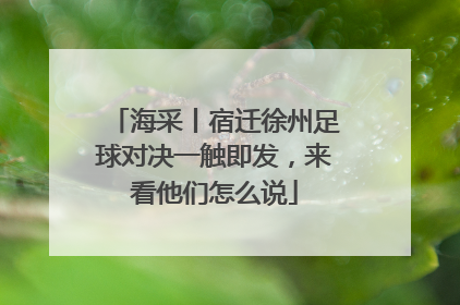 海采丨宿迁徐州足球对决一触即发，来看他们怎么说