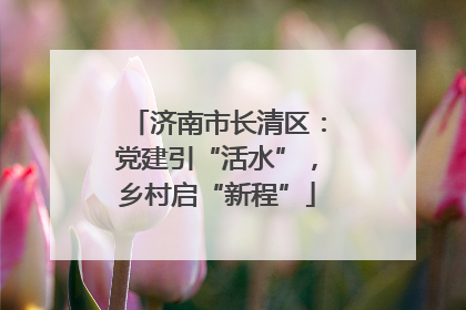 济南市长清区：党建引“活水”，乡村启“新程”