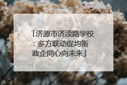 济源市济渎路学校：多方联动促均衡 政企同心向未来