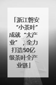 浙江磐安“小茶叶”成就“大产业”，全力打造50亿级茶叶全产业链