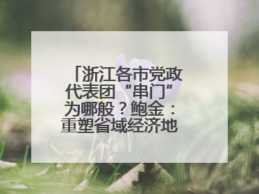 浙江各市党政代表团“串门”为哪般？鲍金：重塑省域经济地理的破题之道