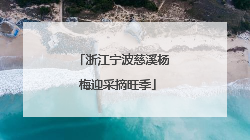 浙江宁波慈溪杨梅迎采摘旺季