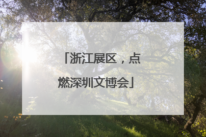 浙江展区，点燃深圳文博会