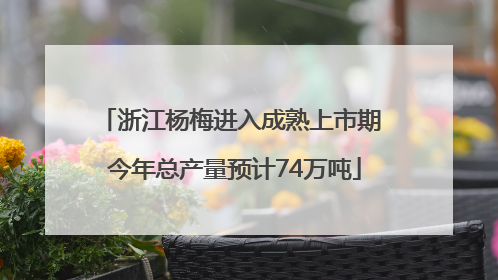浙江杨梅进入成熟上市期 今年总产量预计74万吨