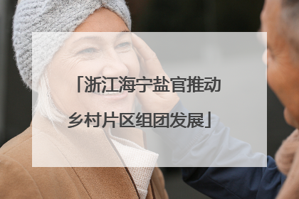 浙江海宁盐官推动乡村片区组团发展