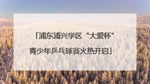 浦东浦兴学区“大爱杯”青少年乒乓球赛火热开启