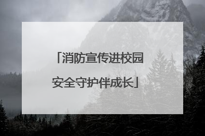 消防宣传进校园 安全守护伴成长