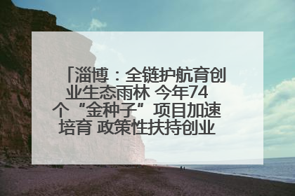 淄博：全链护航育创业生态雨林 今年74个“金种子”项目加速培育 政策性扶持创业9754人
