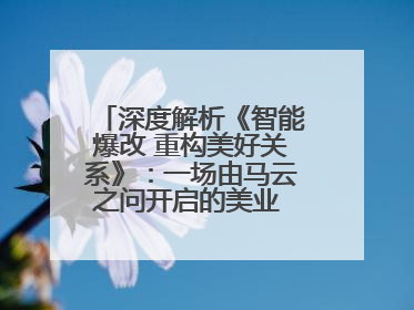深度解析《智能爆改 重构美好关系》：一场由马云之问开启的美业 AI 转型革命
