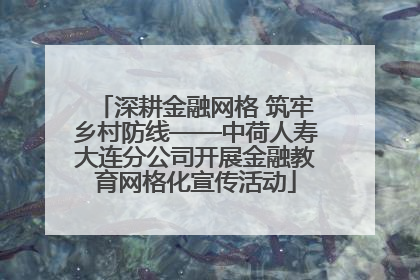 深耕金融网格 筑牢乡村防线——中荷人寿大连分公司开展金融教育网格化宣传活动