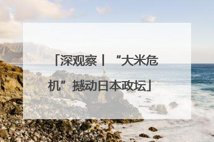 深观察丨“大米危机”撼动日本政坛