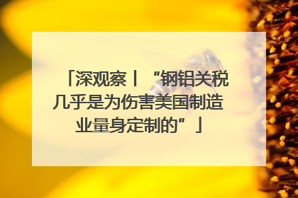 深观察丨“钢铝关税几乎是为伤害美国制造业量身定制的”