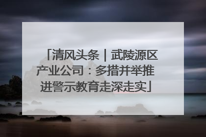 清风头条｜武陵源区产业公司：多措并举推进警示教育走深走实