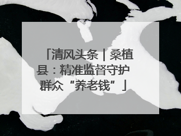 清风头条｜桑植县：精准监督守护群众“养老钱”