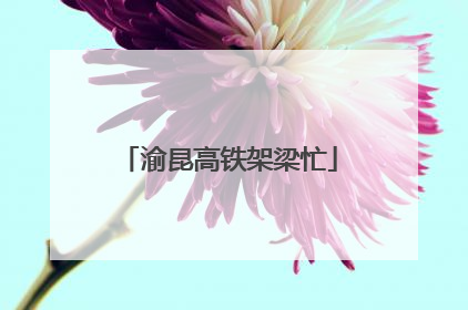 渝昆高铁架梁忙