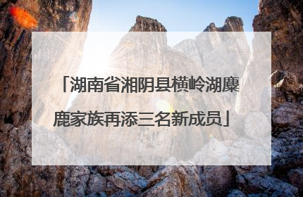 湖南省湘阴县横岭湖麋鹿家族再添三名新成员