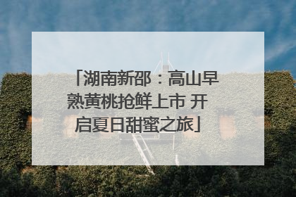 湖南新邵：高山早熟黄桃抢鲜上市 开启夏日甜蜜之旅