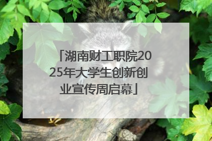 湖南财工职院2025年大学生创新创业宣传周启幕