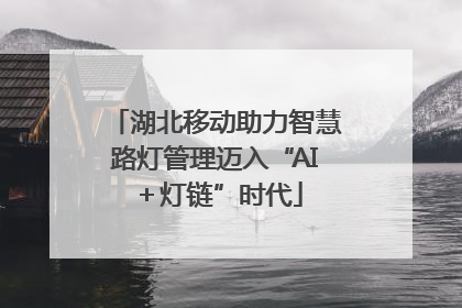 湖北移动助力智慧路灯管理迈入“AI＋灯链”时代