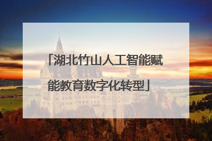 湖北竹山人工智能赋能教育数字化转型
