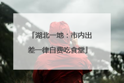 湖北一地：市内出差一律自费吃食堂