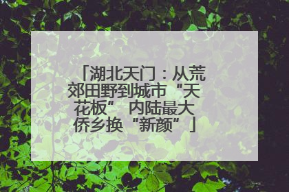 湖北天门：从荒郊田野到城市“天花板” 内陆最大侨乡换“新颜”