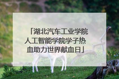 湖北汽车工业学院人工智能学院学子热血助力世界献血日
