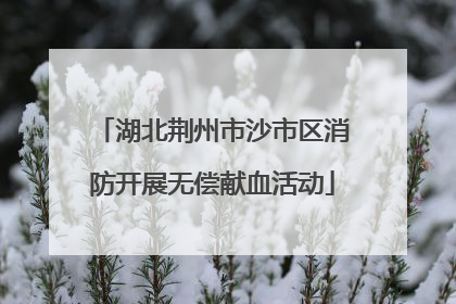 湖北荆州市沙市区消防开展无偿献血活动