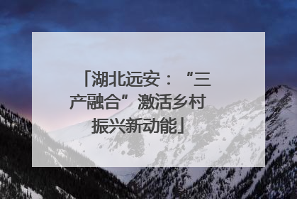 湖北远安：“三产融合”激活乡村振兴新动能