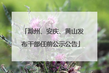 滁州、安庆、黄山发布干部任前公示公告