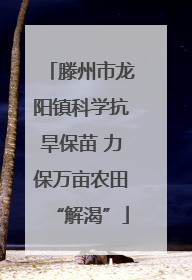 滕州市龙阳镇科学抗旱保苗 力保万亩农田“解渴”