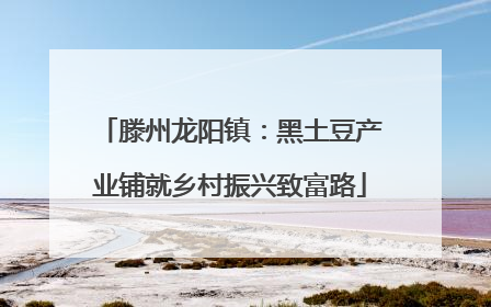 滕州龙阳镇：黑土豆产业铺就乡村振兴致富路
