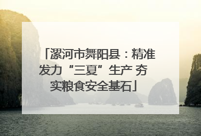 漯河市舞阳县：精准发力“三夏”生产 夯实粮食安全基石