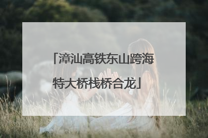 漳汕高铁东山跨海特大桥栈桥合龙