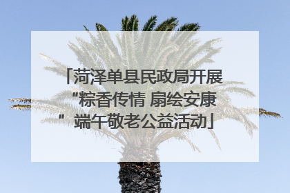 菏泽单县民政局开展“粽香传情 扇绘安康”端午敬老公益活动