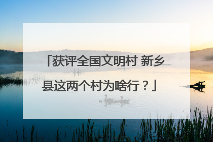获评全国文明村 新乡县这两个村为啥行？