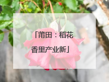 莆田：稻花香里产业新