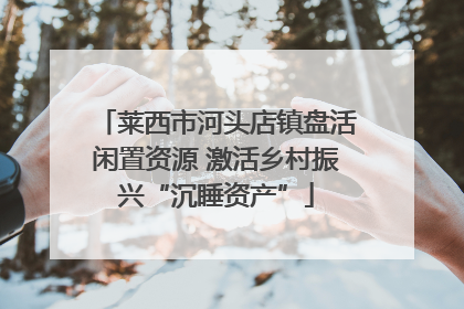 莱西市河头店镇盘活闲置资源 激活乡村振兴“沉睡资产”