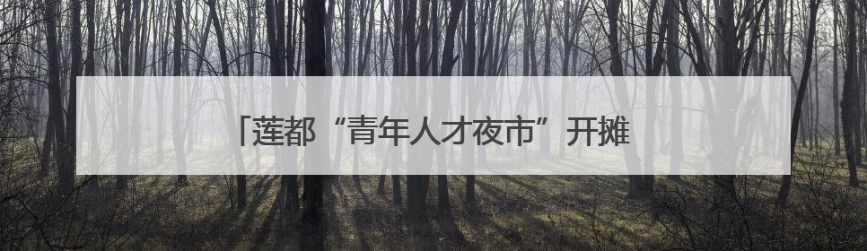 莲都“青年人才夜市”开摊 “盒子小店”为创业者兜底