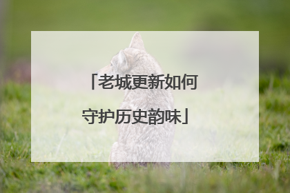老城更新如何守护历史韵味