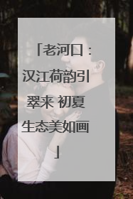 老河口：汉江荷韵引翠来 初夏生态美如画