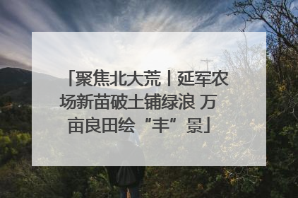 聚焦北大荒丨延军农场新苗破土铺绿浪 万亩良田绘“丰”景