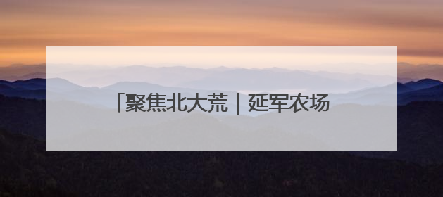 聚焦北大荒｜延军农场：特色种植带旺多元业态 土地焕发新活力
