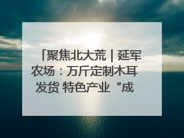 聚焦北大荒｜延军农场：万斤定制木耳发货 特色产业“成绩单”亮眼