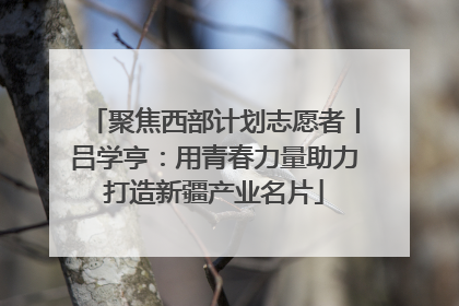 聚焦西部计划志愿者丨吕学亨：用青春力量助力打造新疆产业名片
